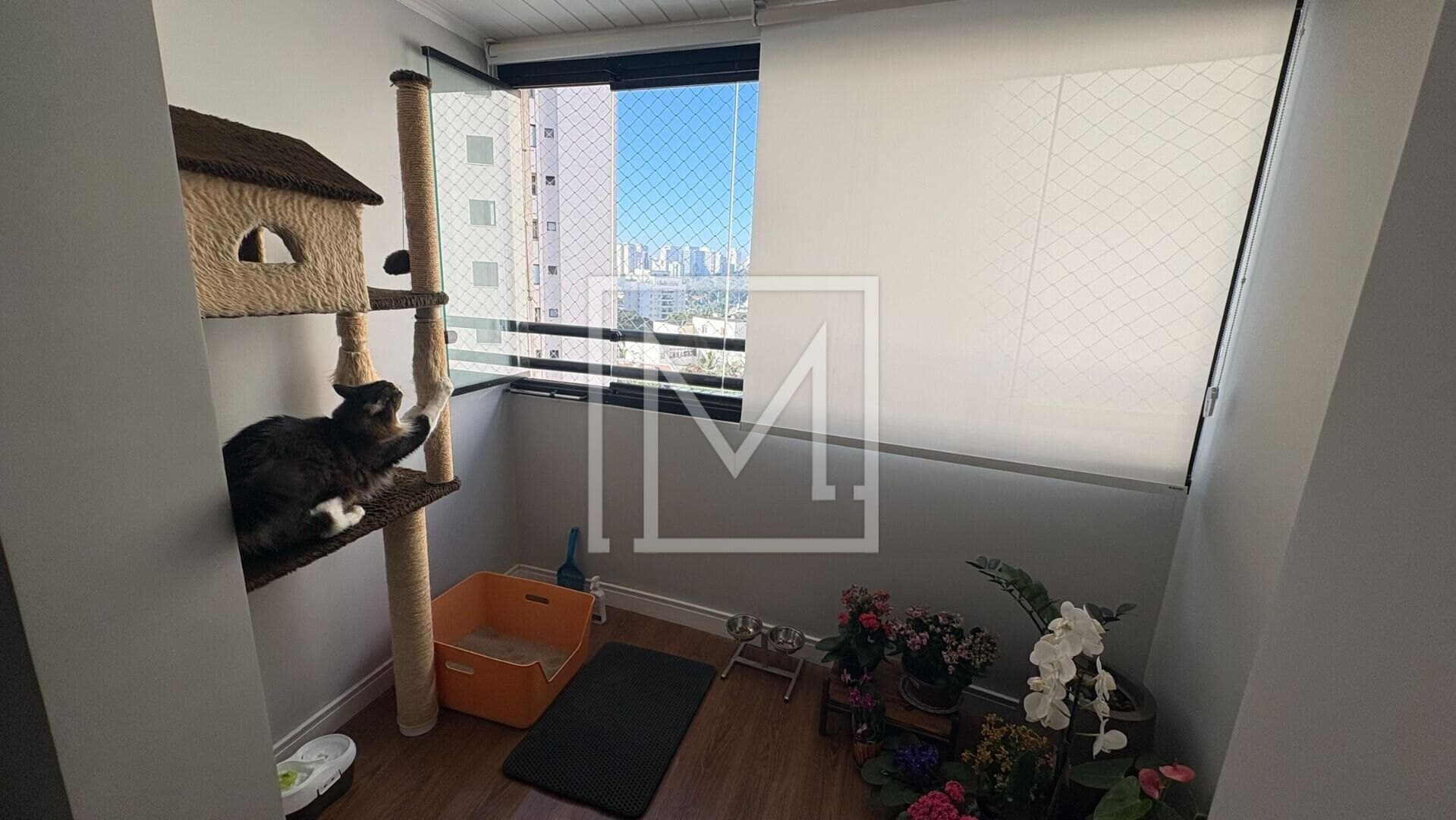 Apartamento com 3 dormitórios à venda, 69 m² por R$ 750.000,00 – Vila Monumento – São Paulo/SP — foto 4 de 67