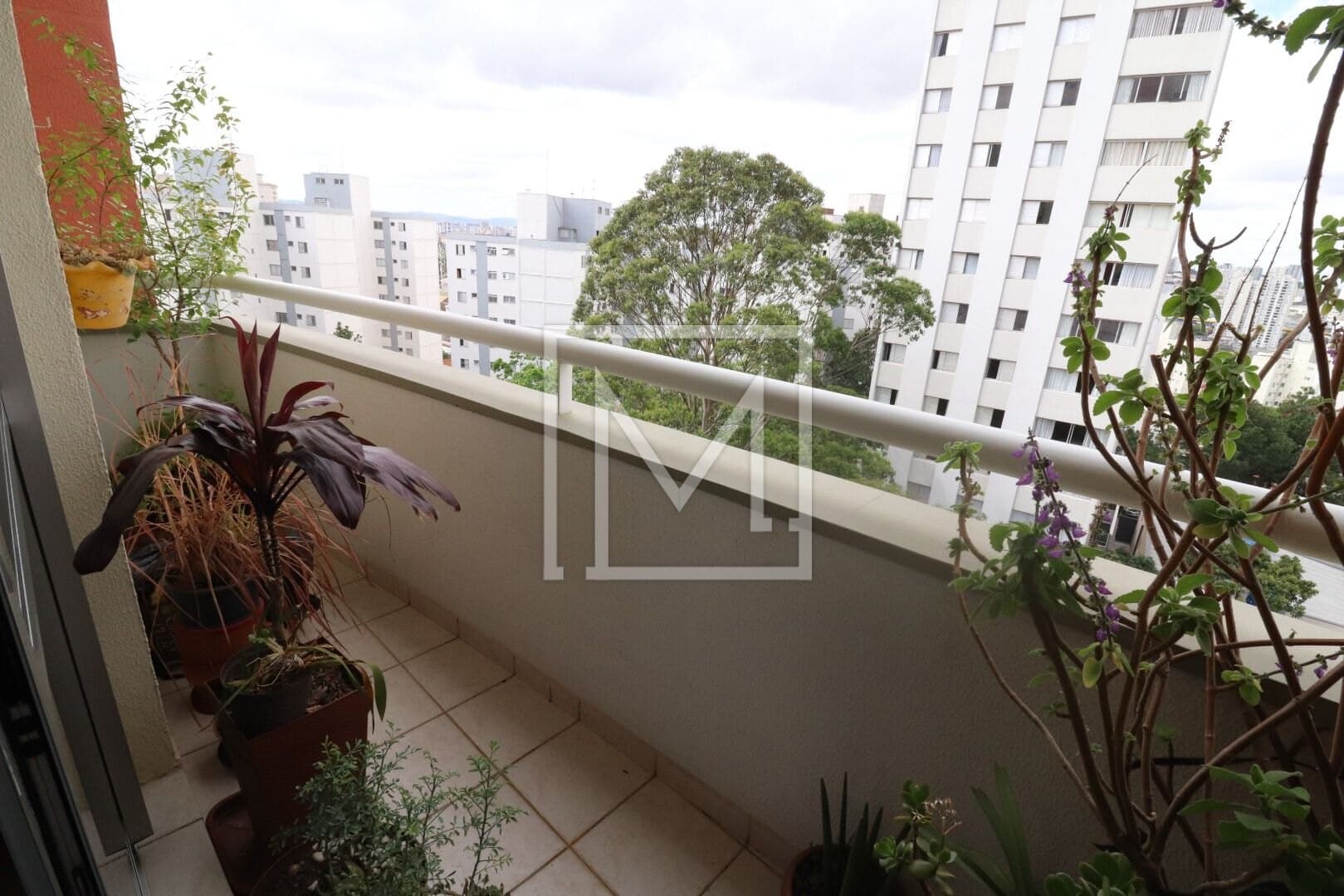 Apartamento com 3 dormitórios à venda, 89 m² por R$ 880.000,00 – Vila Monumento – São Paulo/SP — foto 2 de 20