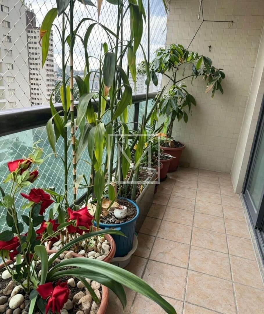 Apartamento à venda, 134 m² por R$ 1.380.000,00 – Ipiranga – São Paulo/SP — foto 4 de 30