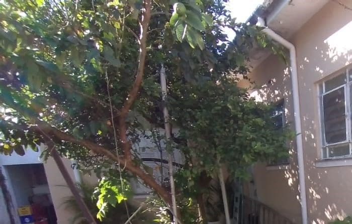 Casa para alugar, 120 m² por R$ 7.050,00/mês – Ipiranga – São Paulo/SP