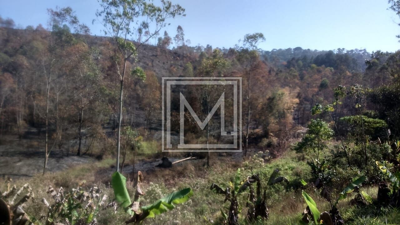 Terreno à venda, 230000 m² por R$ 13.800.000,00 – Santa Isabel – Santa Isabel/SP — foto 2 de 6