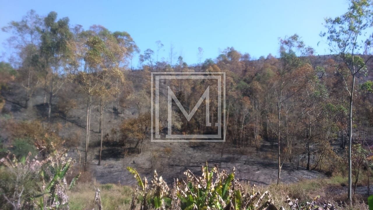 Terreno à venda, 230000 m² por R$ 13.800.000,00 – Santa Isabel – Santa Isabel/SP — foto 4 de 6