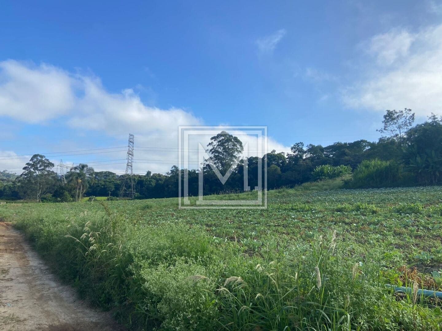 Terreno à venda, 194153 m² por R$ 11.650.000,00 – Parque Santa Rosa – Suzano/SP — foto 2 de 24