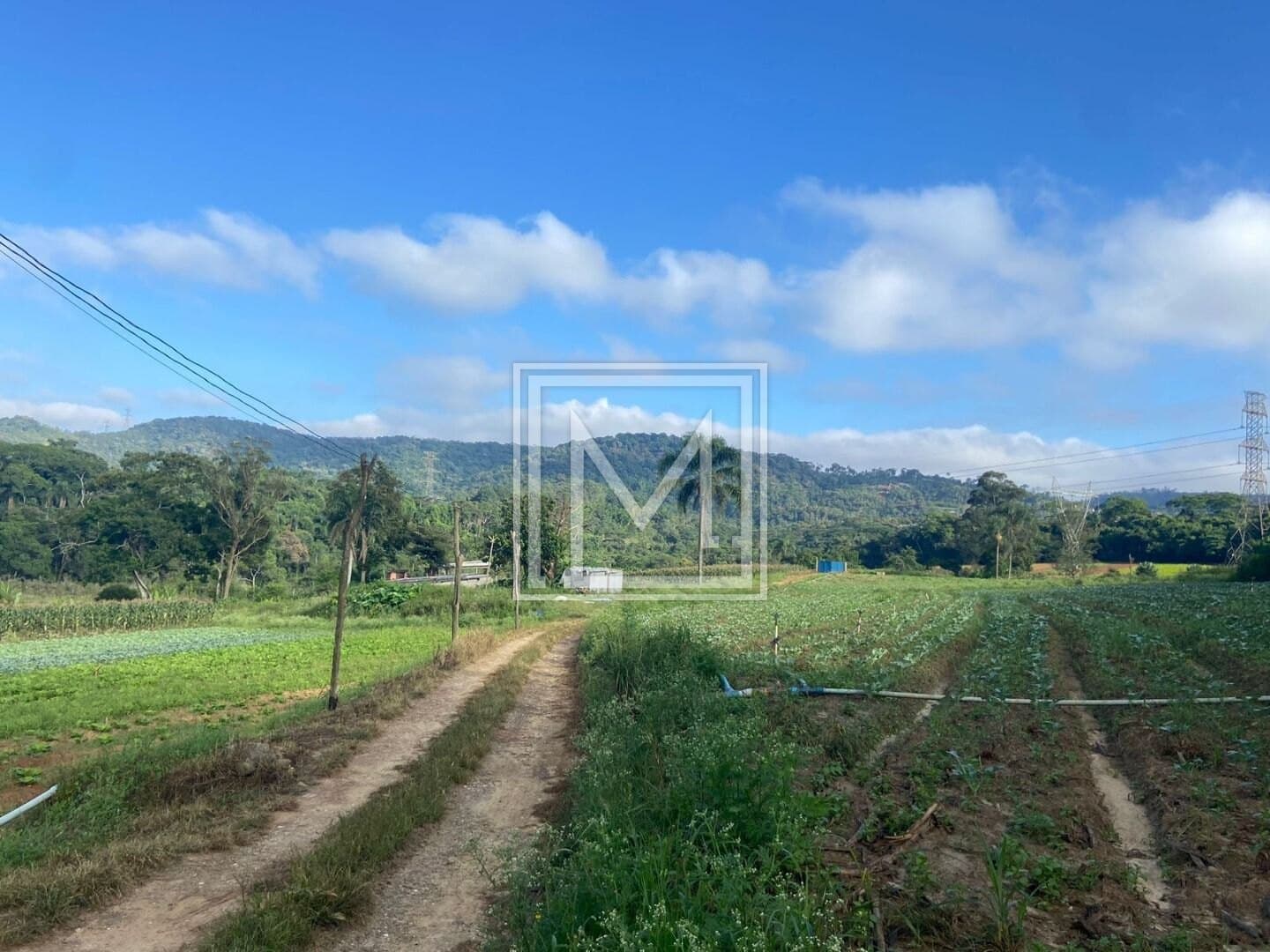 Terreno à venda, 194153 m² por R$ 11.650.000,00 – Parque Santa Rosa – Suzano/SP — foto 3 de 24