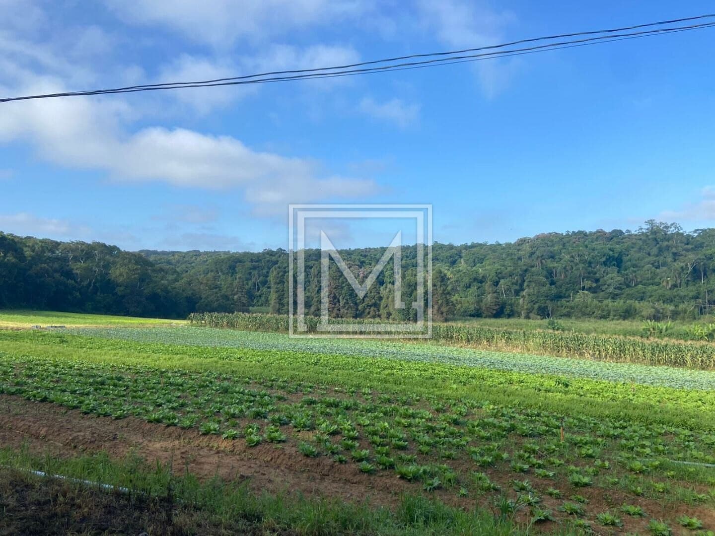 Terreno à venda, 194153 m² por R$ 11.650.000,00 – Parque Santa Rosa – Suzano/SP — foto 4 de 24