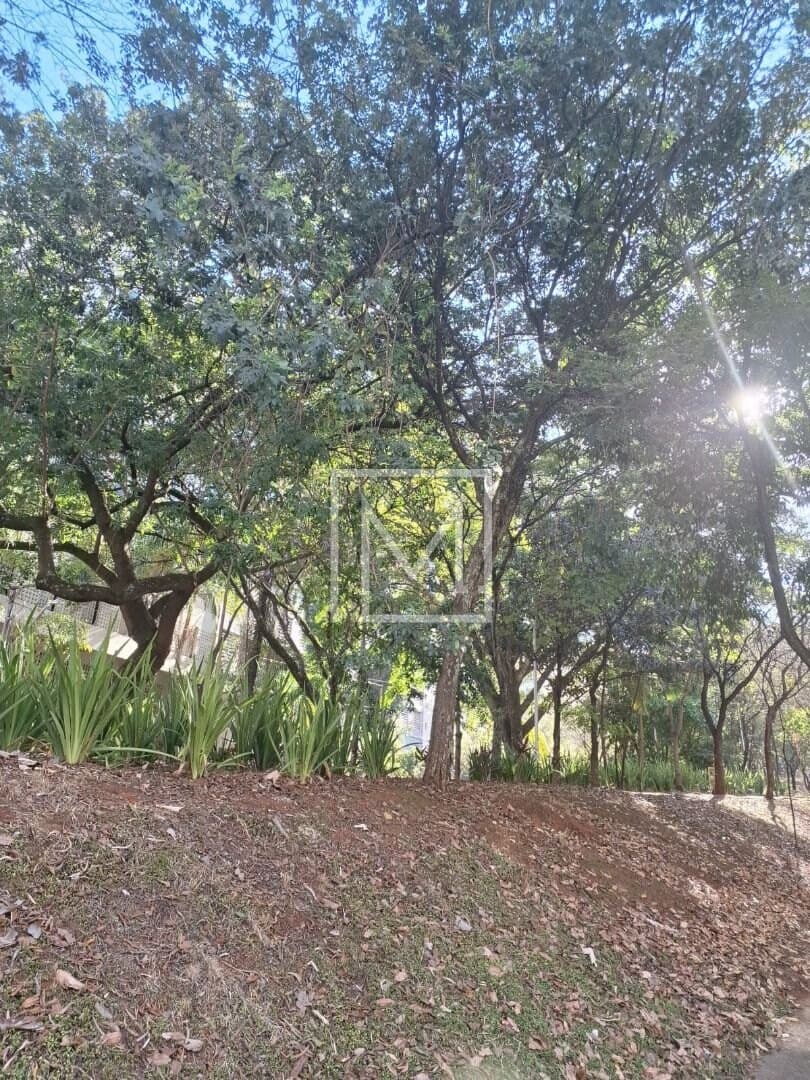 Terreno à venda, 2257 m² por R$ 3.900.000,00 – Morumbi (Zona Sul) – São Paulo/SP — foto 3 de 9