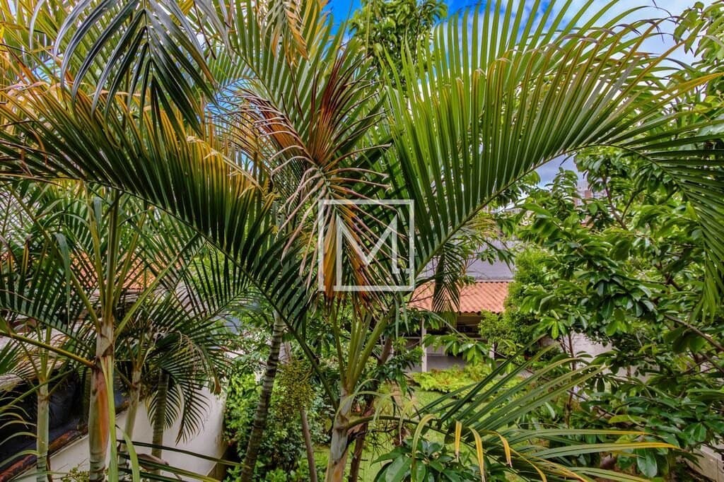 Sobrado com 4 dormitórios, 360 m² – venda por R$ 3.100.000,00 ou aluguel por R$ 12.100,00/mês – Vila Gumercindo – São Paulo/SP — foto 3 de 41