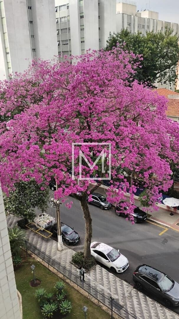 Apartamento com 3 dormitórios à venda, 109 m² por R$ 998.000,00 – Ipiranga – São Paulo/SP — foto 5 de 15