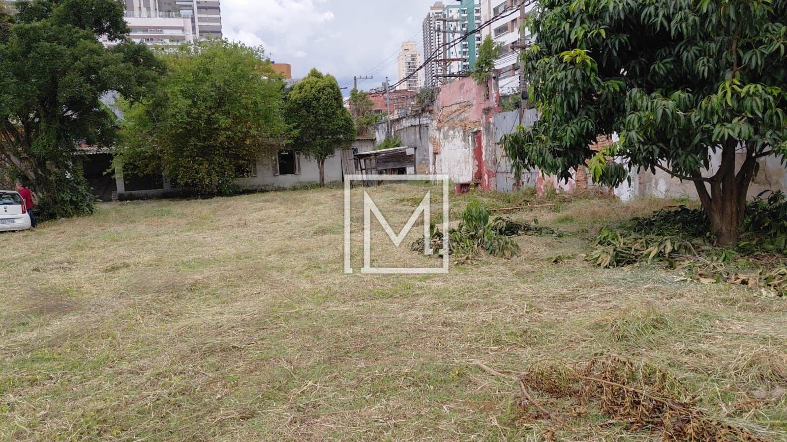 TERRENO PLANO LIVRE E DESEMPEDIDO — foto 2 de 10