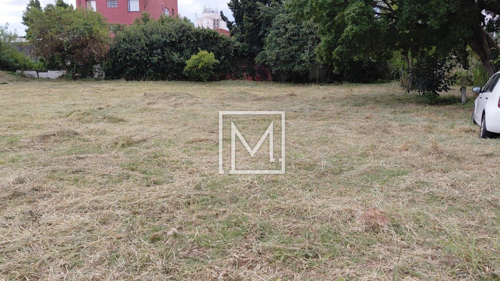 TERRENO PLANO LIVRE E DESEMPEDIDO — foto 3 de 10