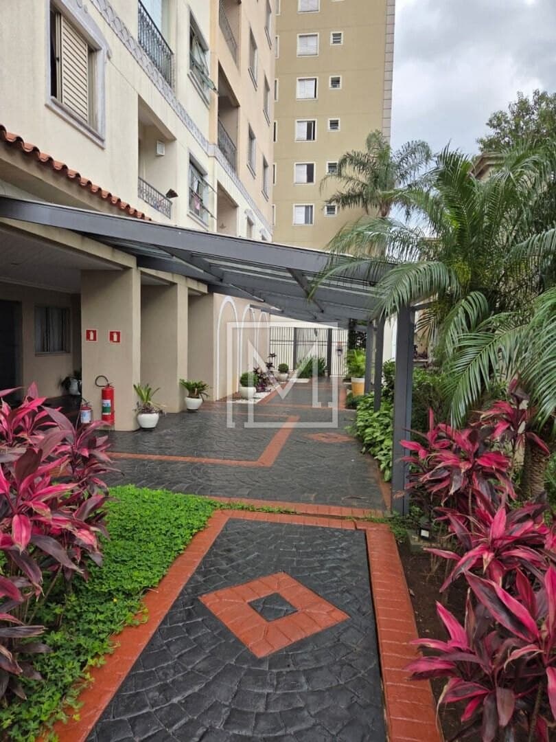 Apartamento com 3 dormitórios à venda, 64 m² por R$ 455.000,00 – Vila Vera – São Paulo/SP
